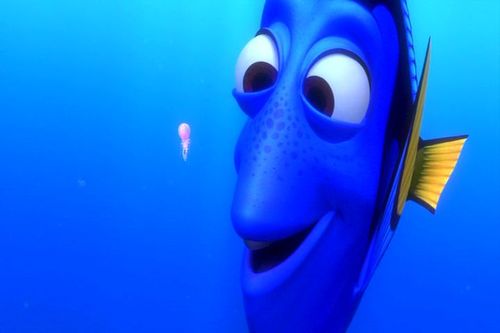 Finding-nemo-dory-squishy